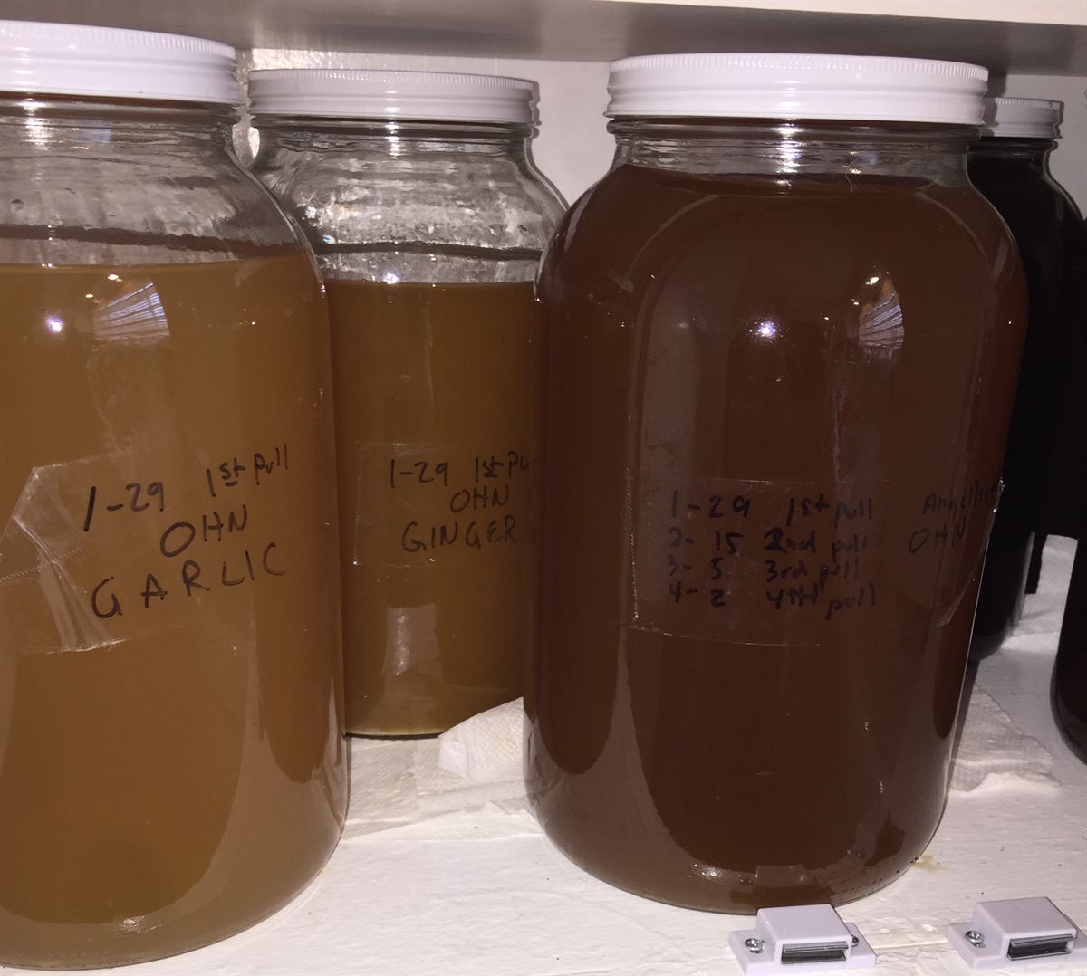 Three gallon jars of oriental herbal nutrient on a sill, hand-labelled OHN garlic and OHN ginger with pull dates