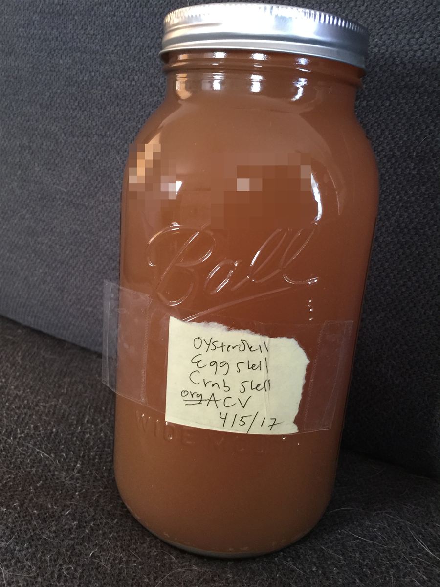 Quart jar of amber water-soluble calcium, hand-labelled oyster shell, egg shell, crab shell and organic cider vinegar